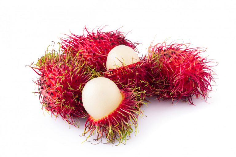 Qu’est-ce que le ramboutan : le litchi chevelu dont l’Asie raffole ?